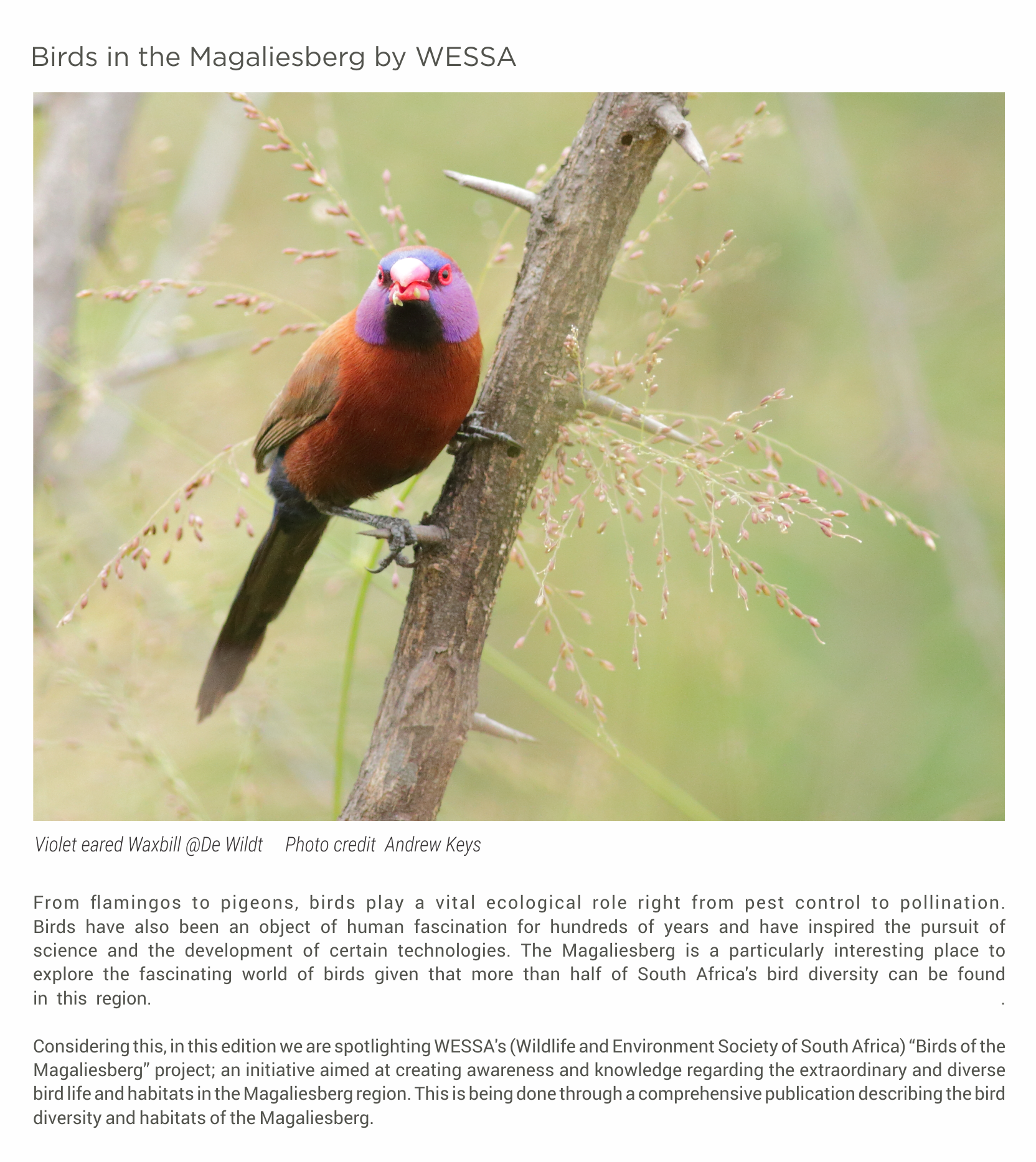 Newsletter Part 6